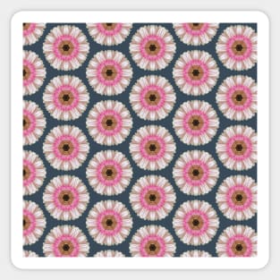 Pink gerbera on navy Sticker